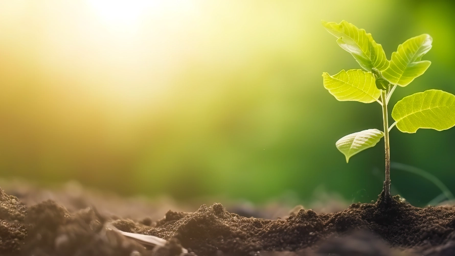 ESG sampling tree growing in soil