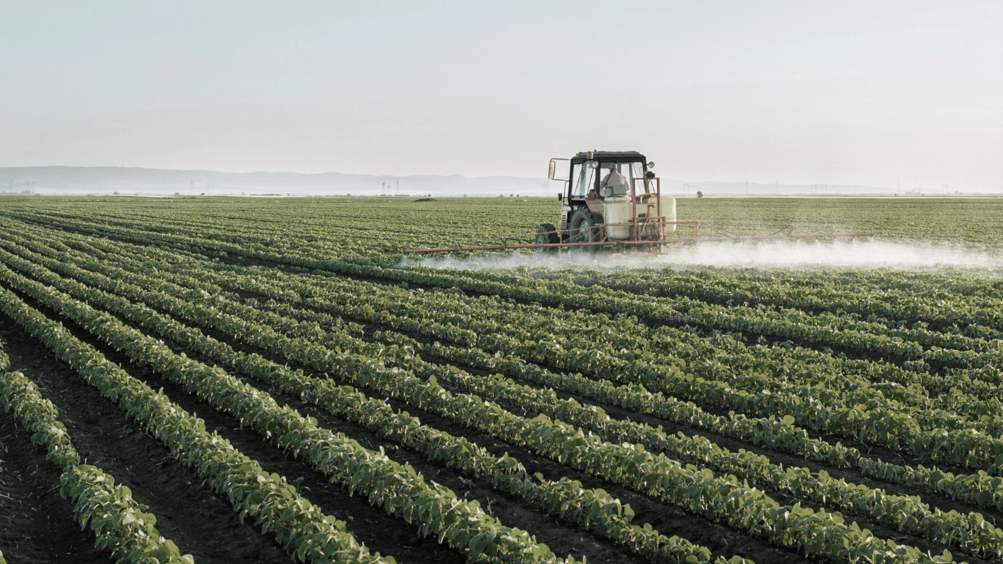 August Access Atradius: Food article image