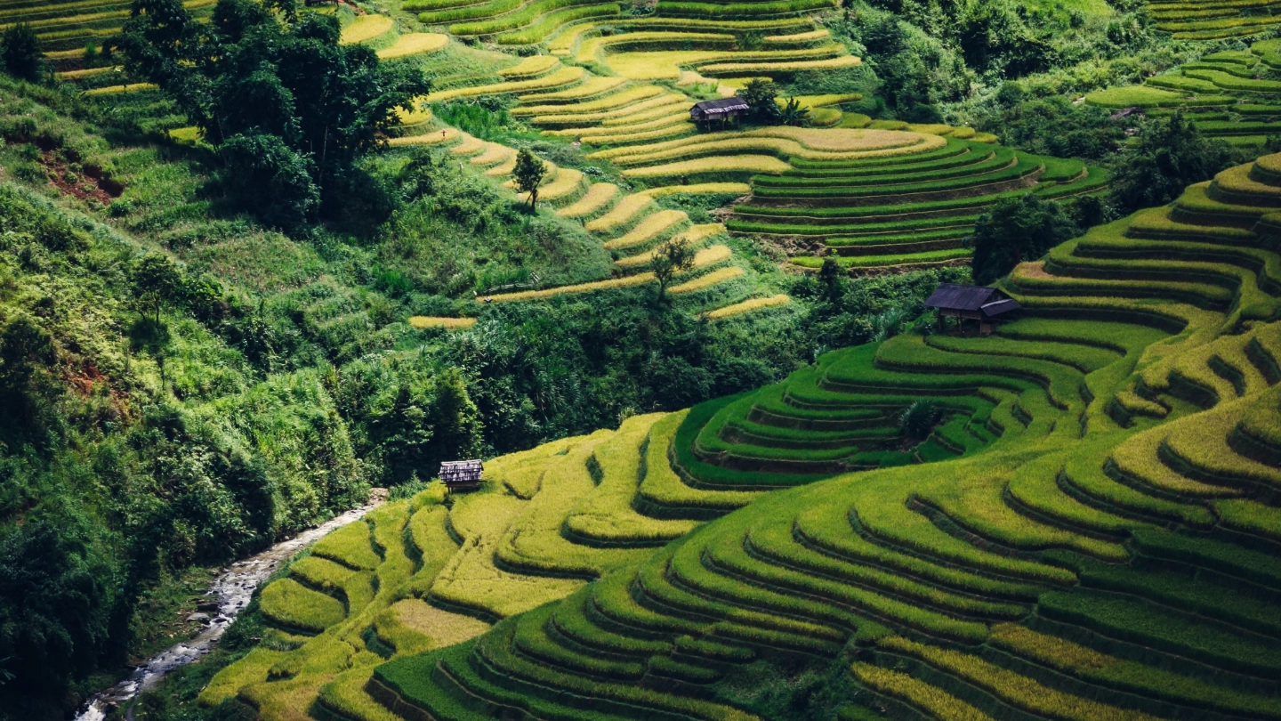 Tiered landscaping in Asia Tiered landscaping in Asia