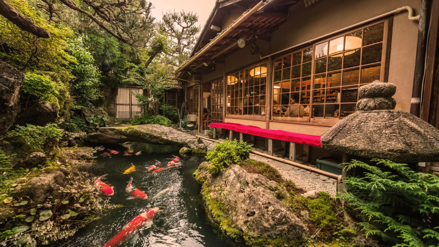 Japan  Japanese garden with koi carp